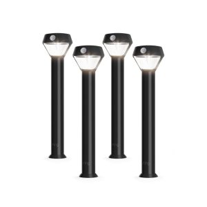 Solar Pathlight | Smart Lighting
